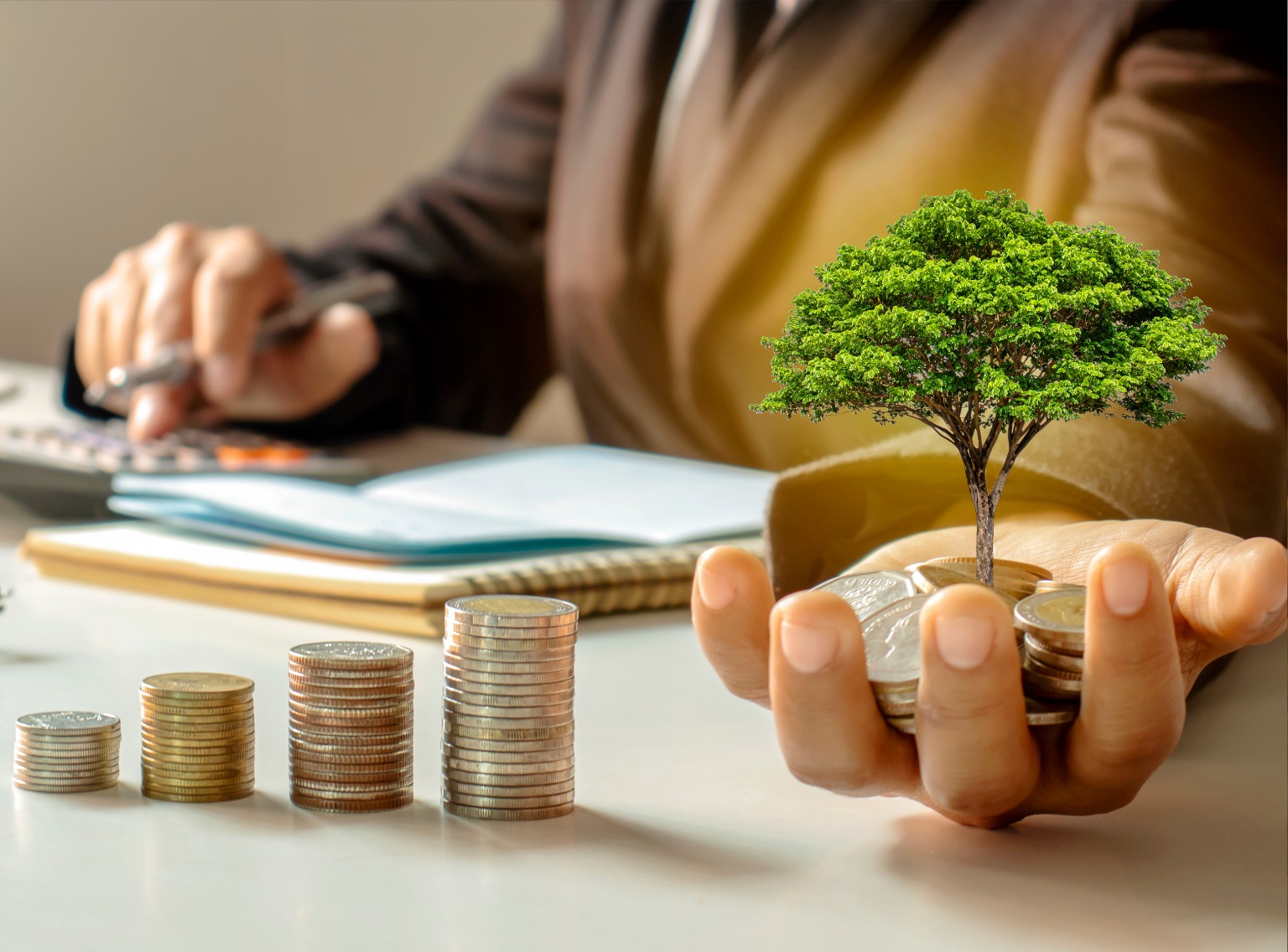 Kc Group Hizmetlerimiz